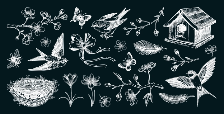Hand-drawn spring sketches. Flying birds, sakura flowers, bird house, saffron vector illustrations. Easter design elements. Floral chalk drawings. NOT AI generated